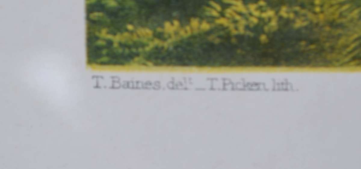 Thomas Baines "The Falls By Sunrise"