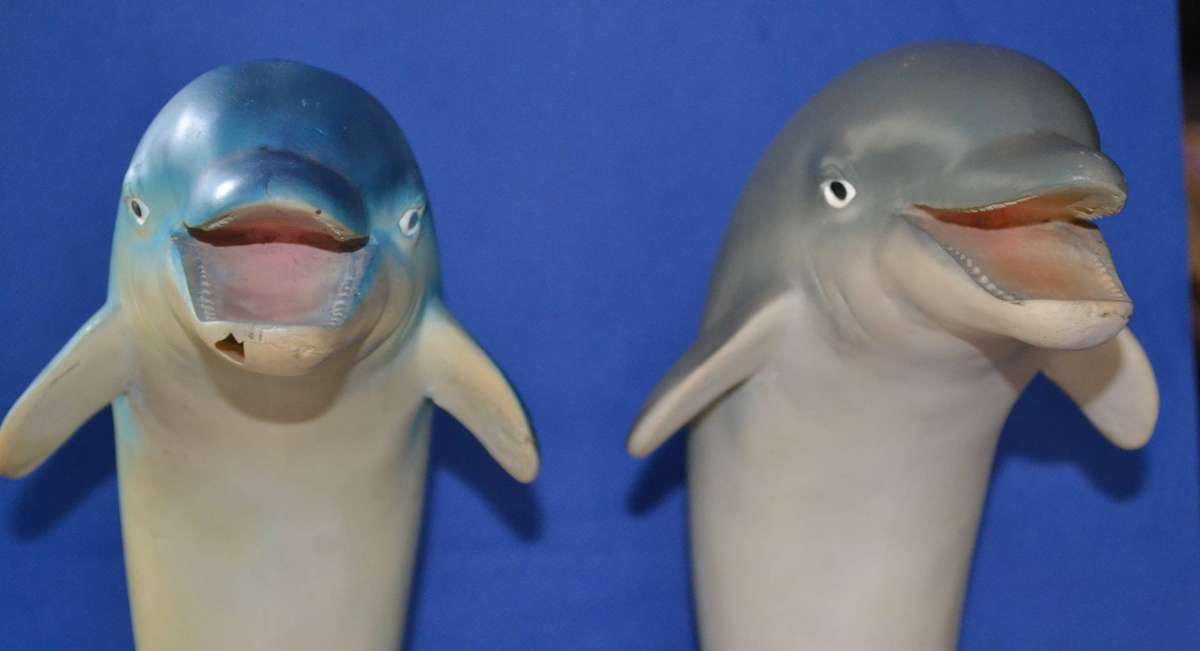 Pair of Large Bottle Nose Dolphins Plus Miniature