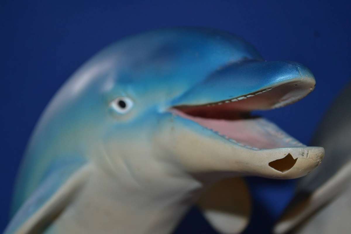 Pair of Large Bottle Nose Dolphins Plus Miniature