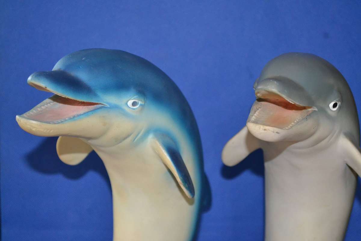 Pair of Large Bottle Nose Dolphins Plus Miniature