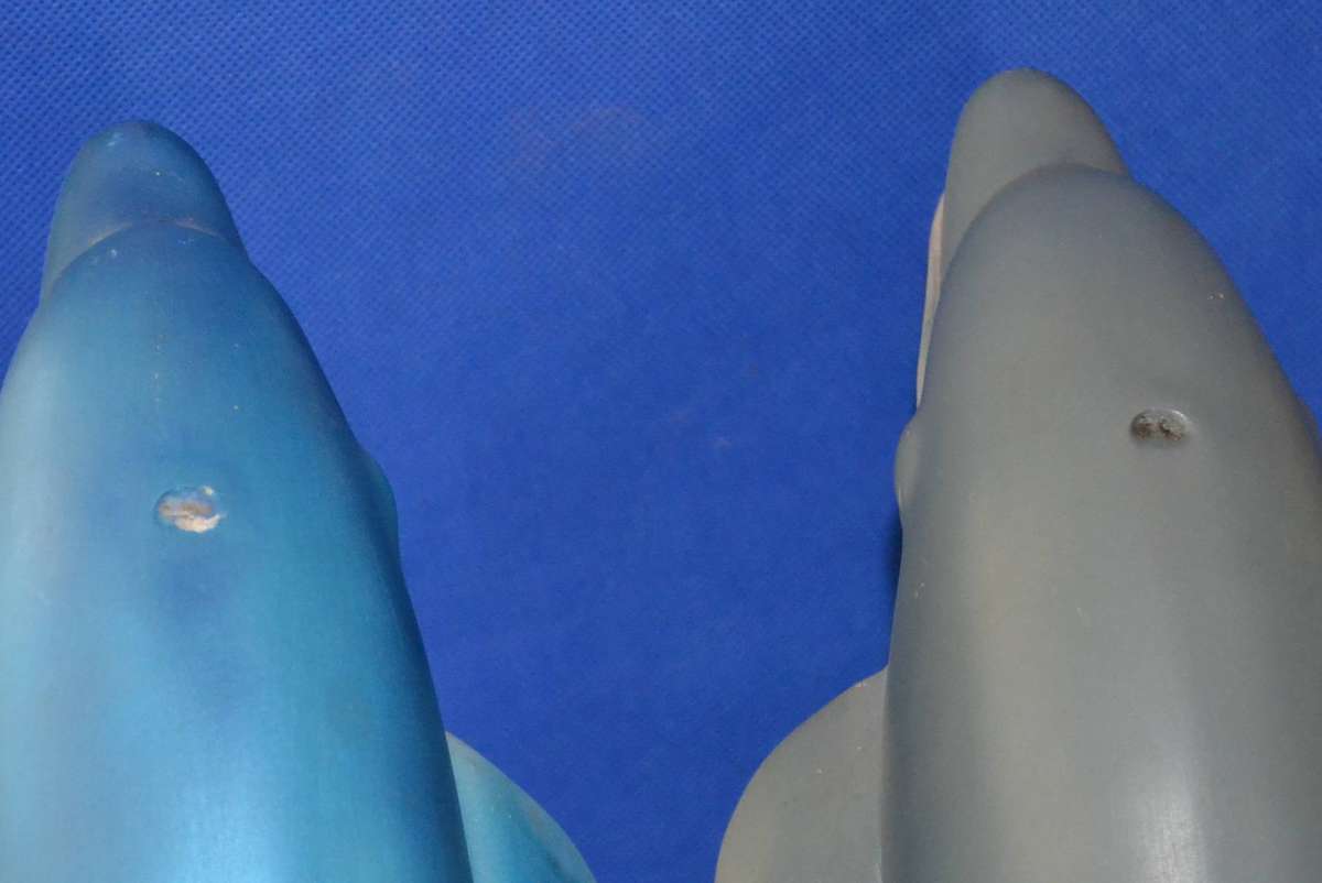 Pair of Large Bottle Nose Dolphins Plus Miniature