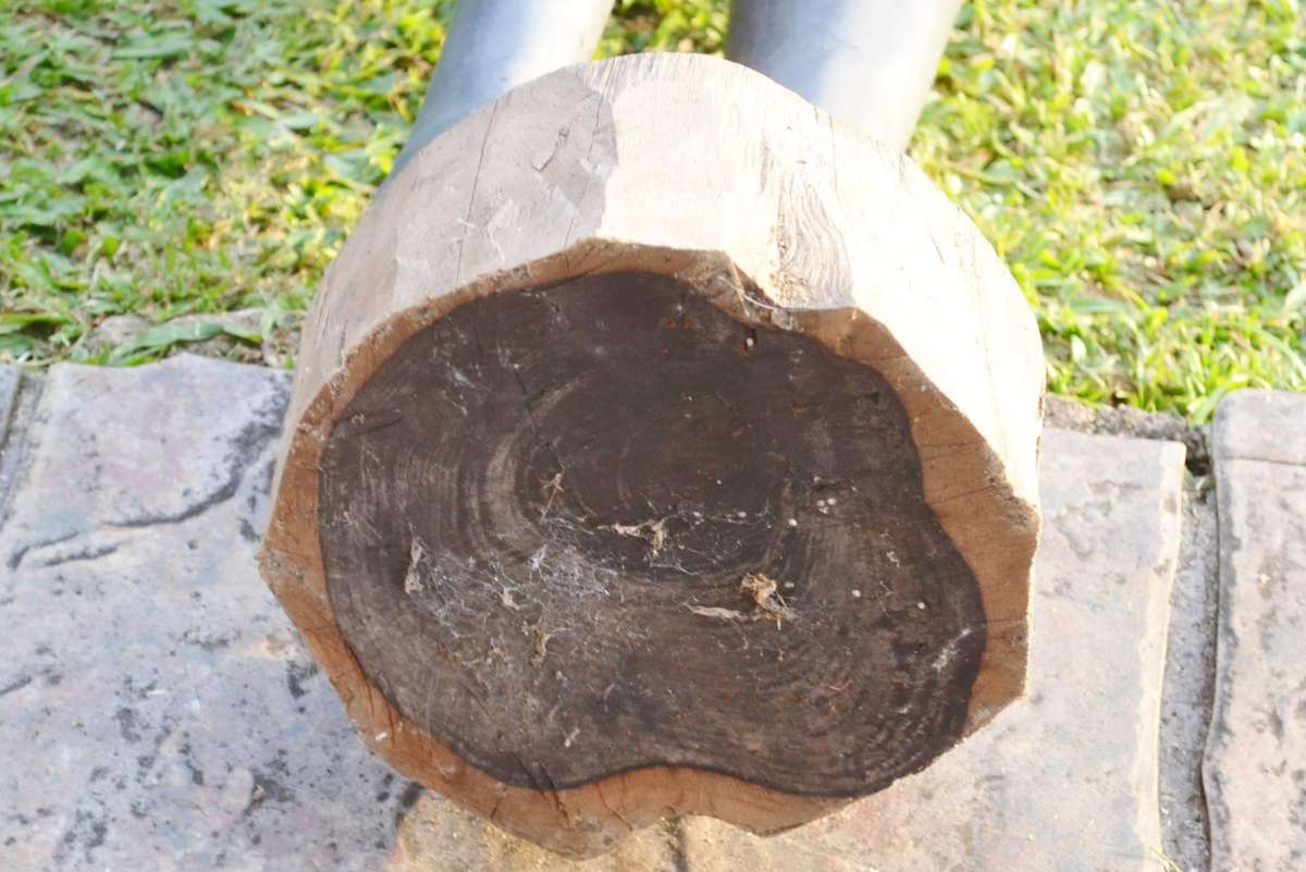 Large Maasai Woman  and Warrior - Morans - Heavy -40kg-Black Hardwood Carvings c1970's