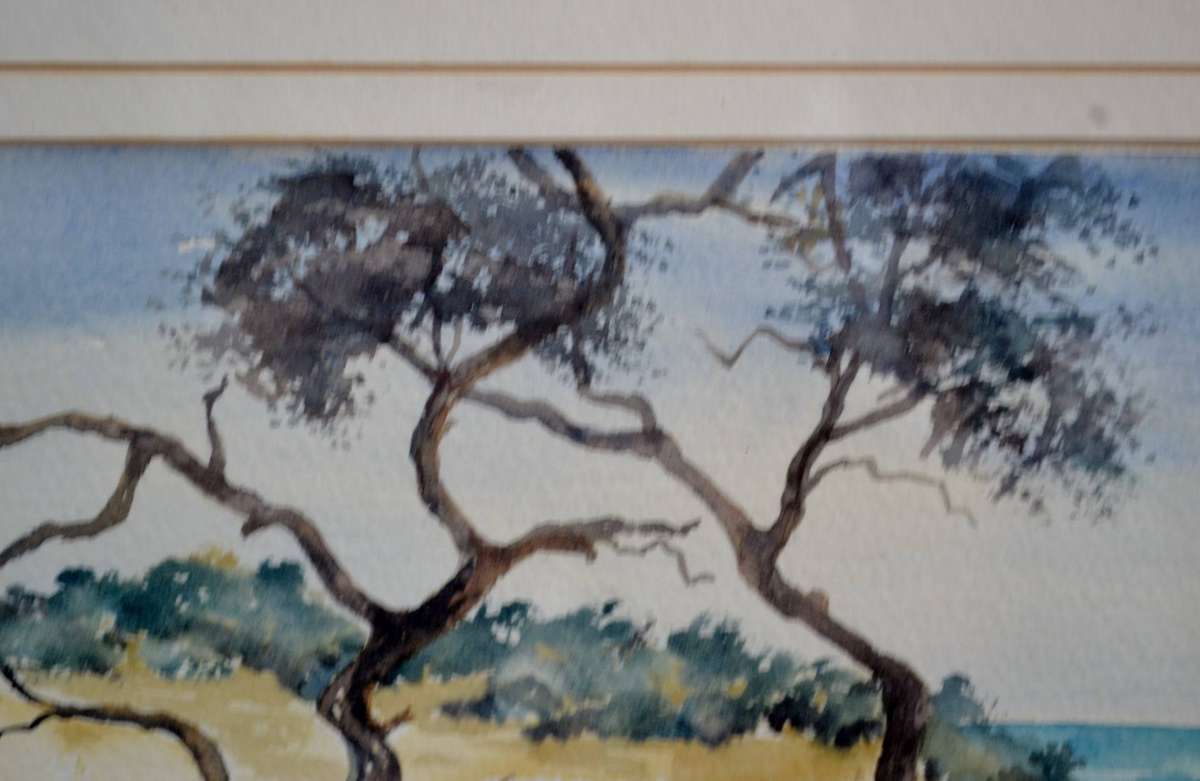 Framed watercolour Landscape