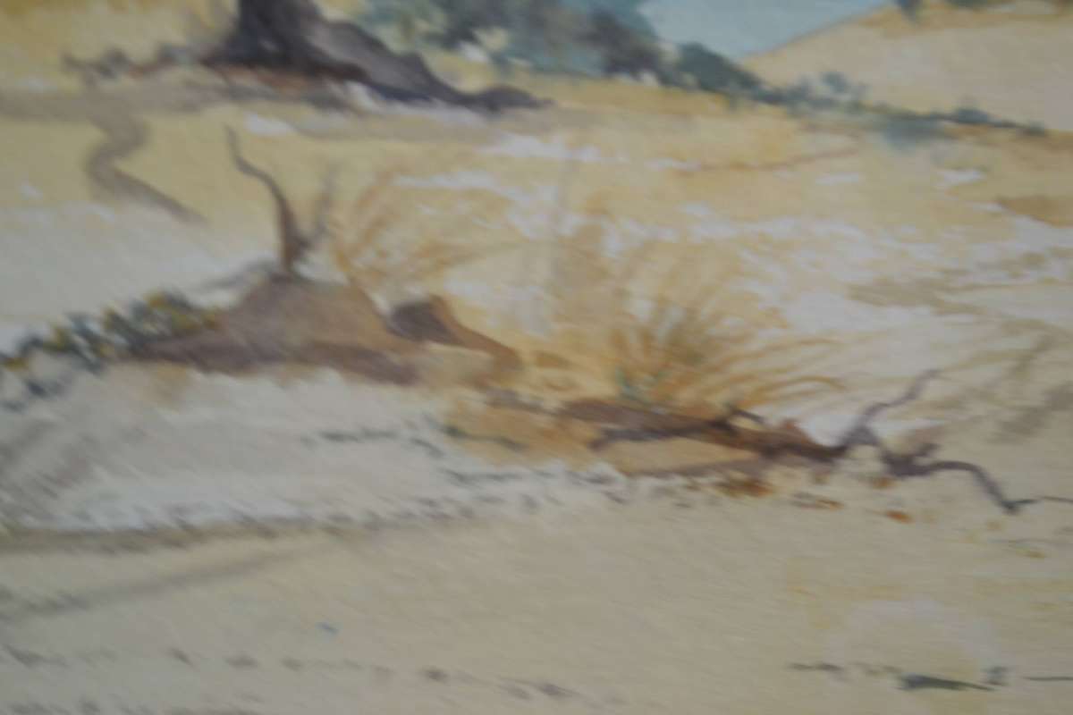 Framed watercolour Landscape