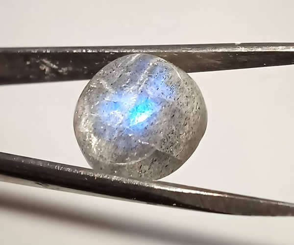 Labradorite - Rainbow Colour Round Cabochon - 3,57cts