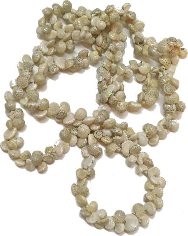Pretty Natural Shell Necklace