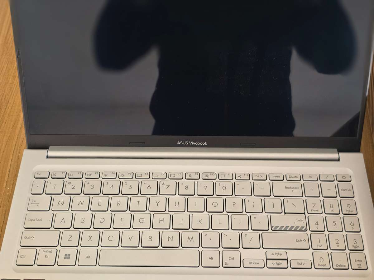 Asus Vivobook 15X OLED M1503