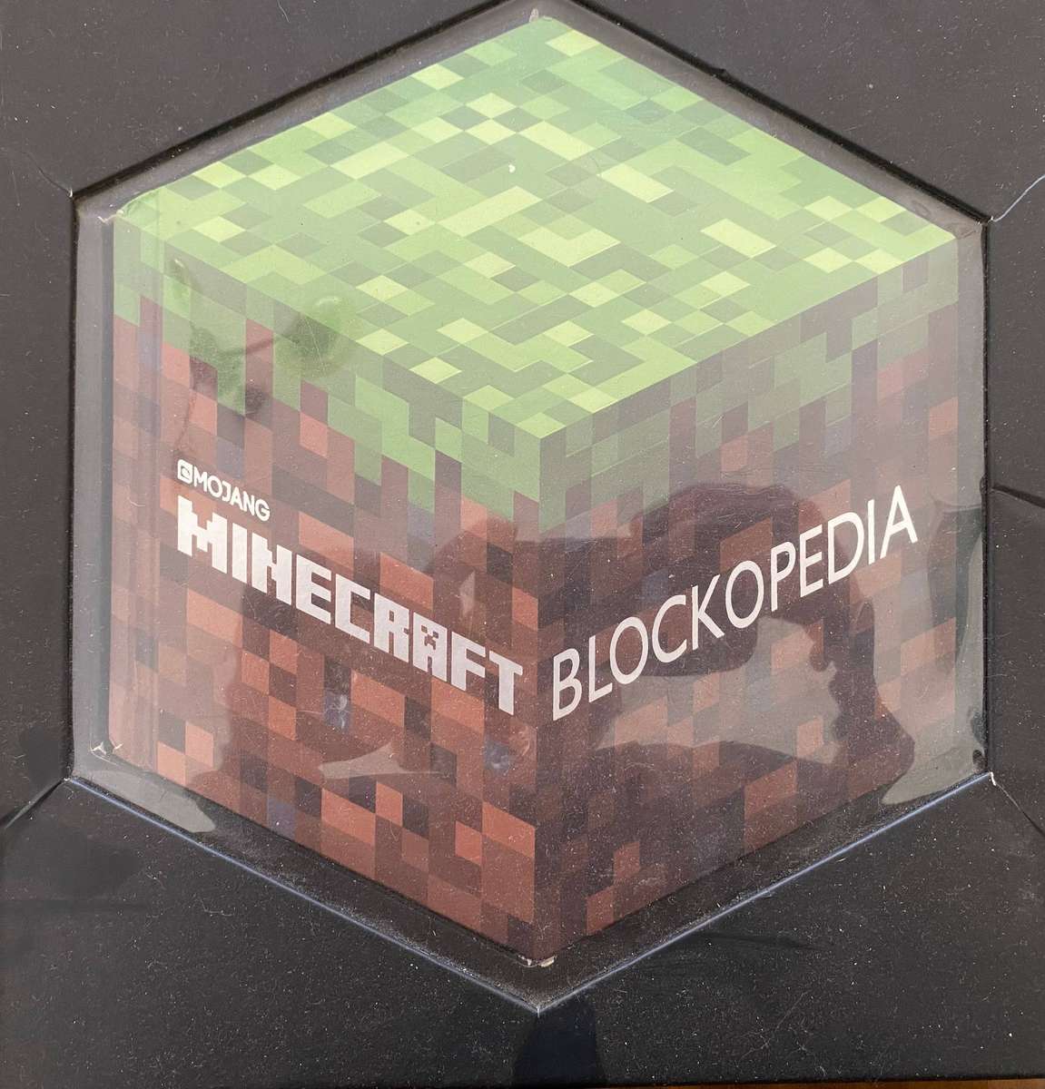 Minecraft book