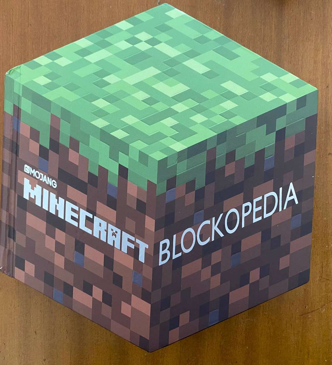 Minecraft book