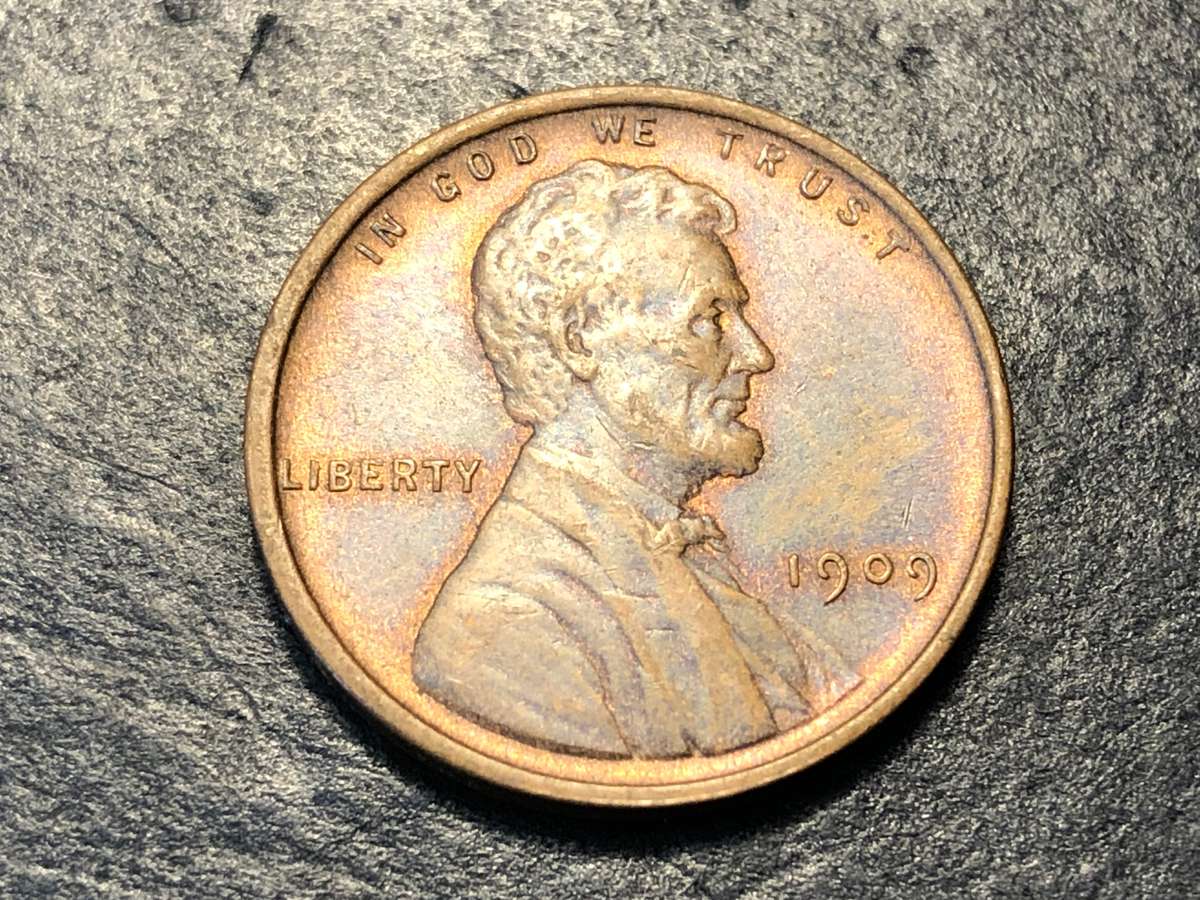1909 American wheat penny (1 cent) bronze coin - V.D.B. Reverse