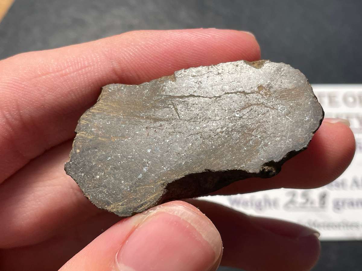 Lot of 2 meteorites with certificates of authenticity - For Bitter End only