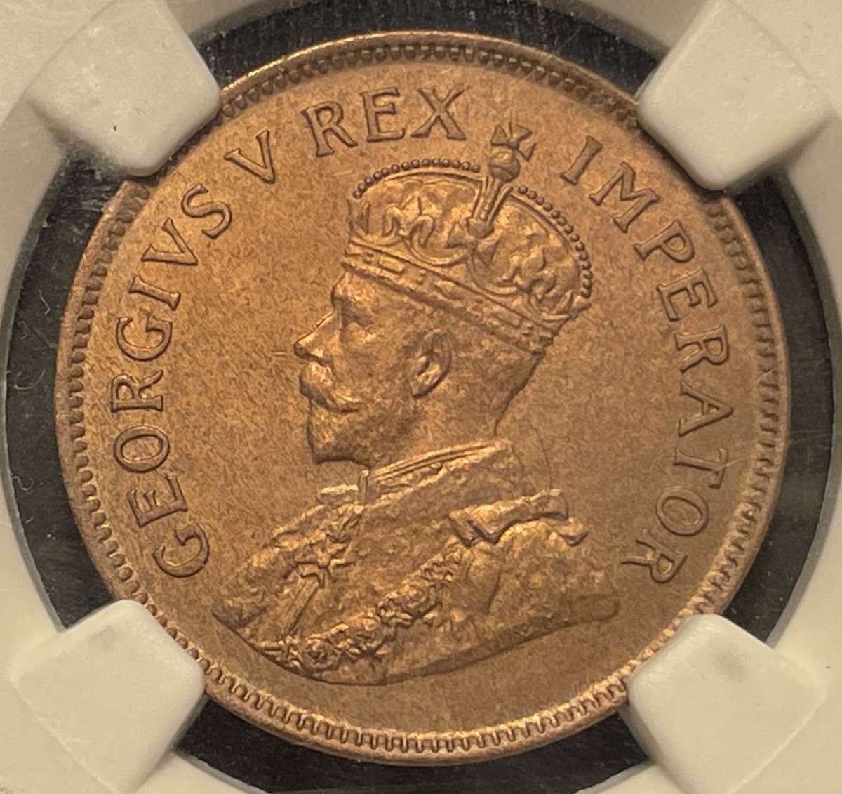 RARE 1923 SA Union 1/2 penny coin in UNC! - Graded UNC Det. by NGC - Rarest date in the series