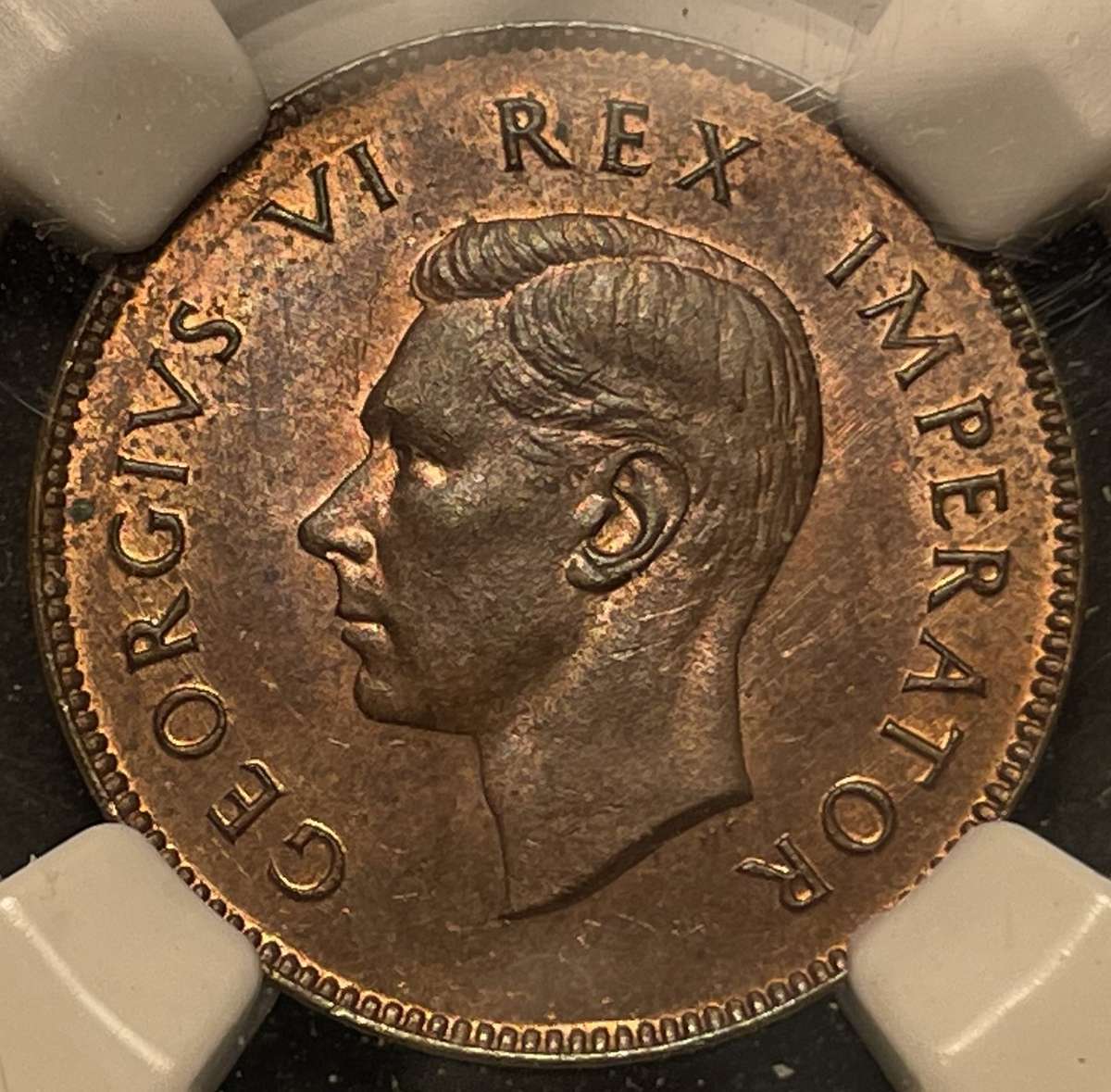 Beautiful 1942 S.A. Union 1/4 penny coin graded MS64BN by NGC - Bakewell collection