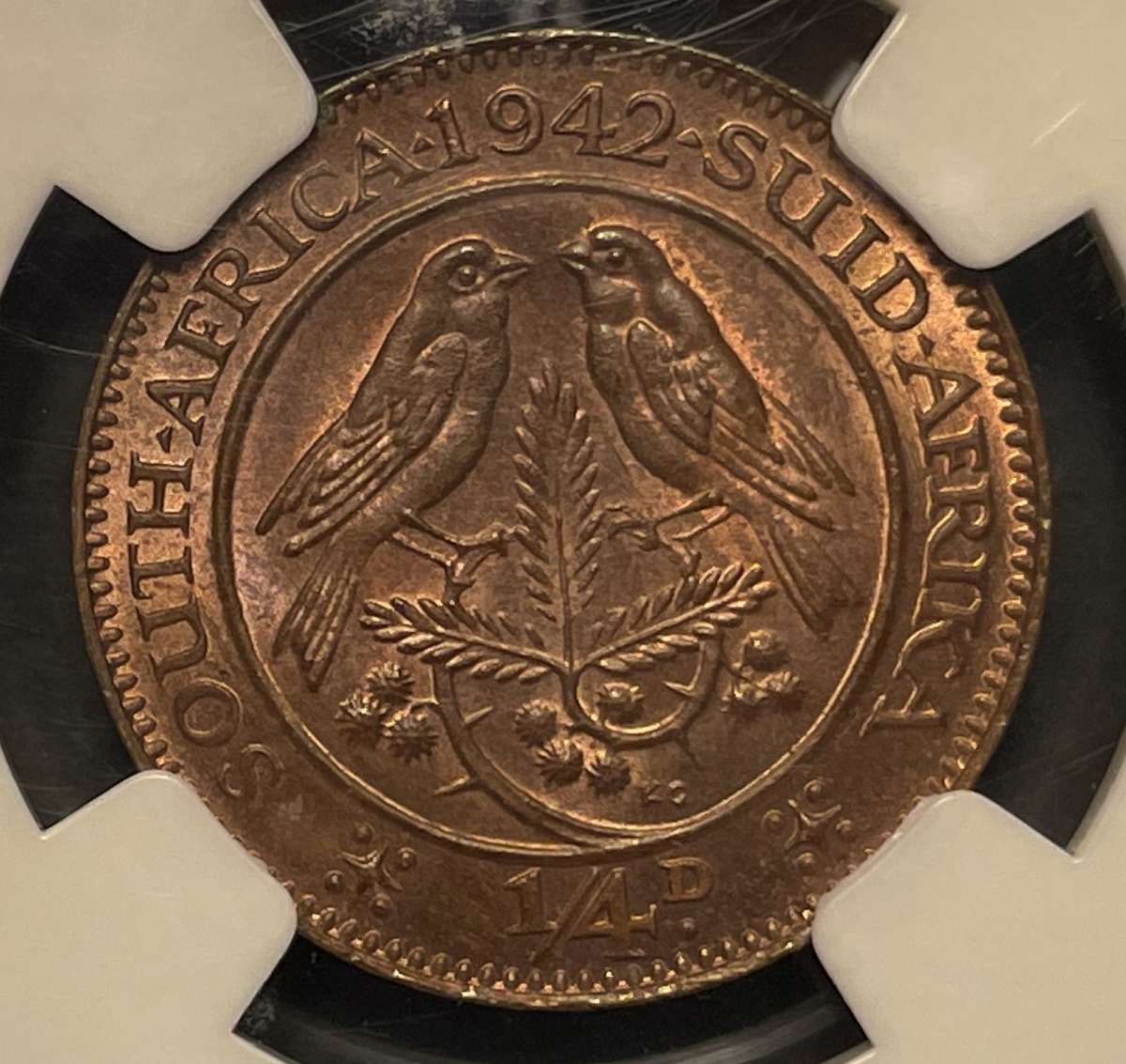 Beautiful 1942 S.A. Union 1/4 penny coin graded MS64BN by NGC - Bakewell collection