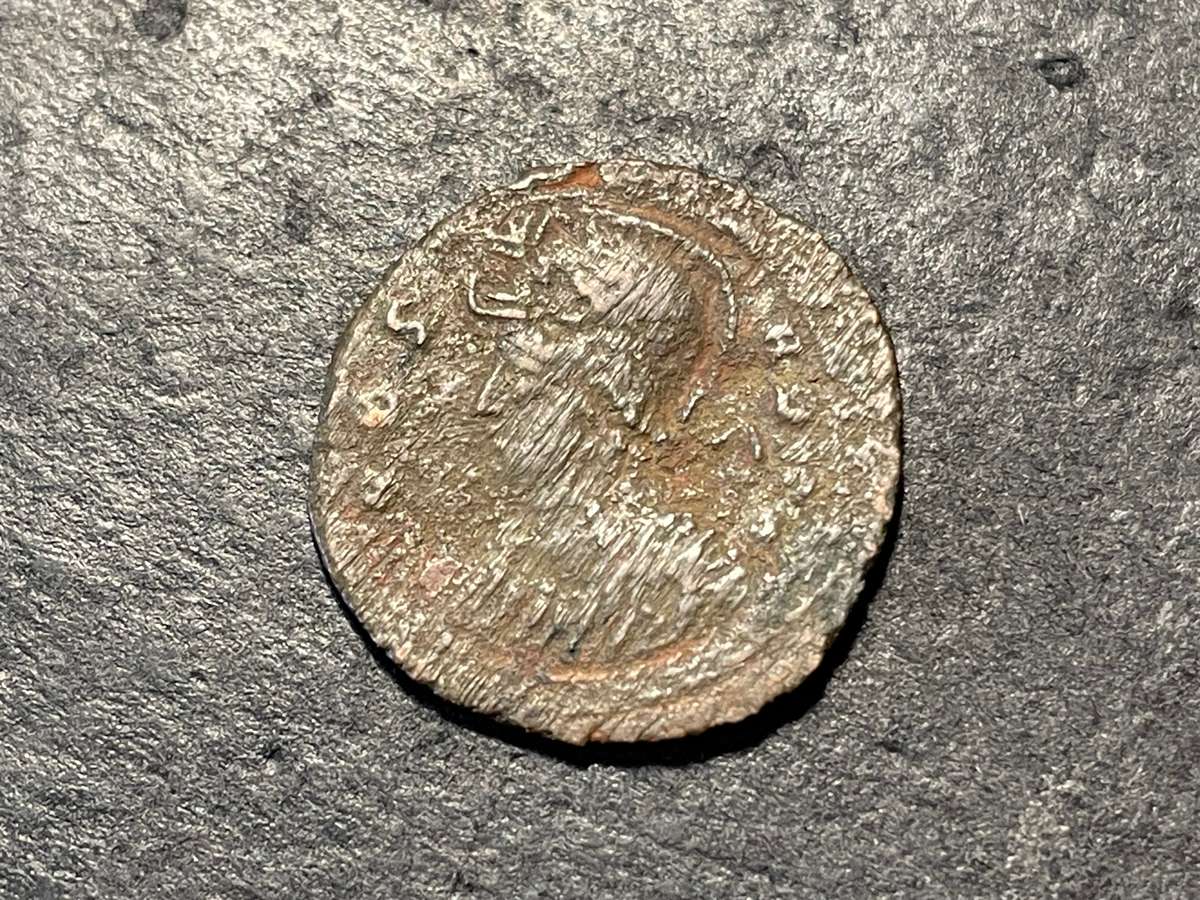 Romulus & Remus with She-wolf | Bronze Nummus of the Roman Emperor Constantine I (335 to 337 AD)