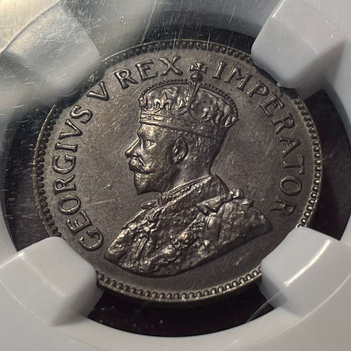 Very rare Suid variety 1931 Bronze 1/4 penny coin - NGC graded MS64 BN - Only one grade better!