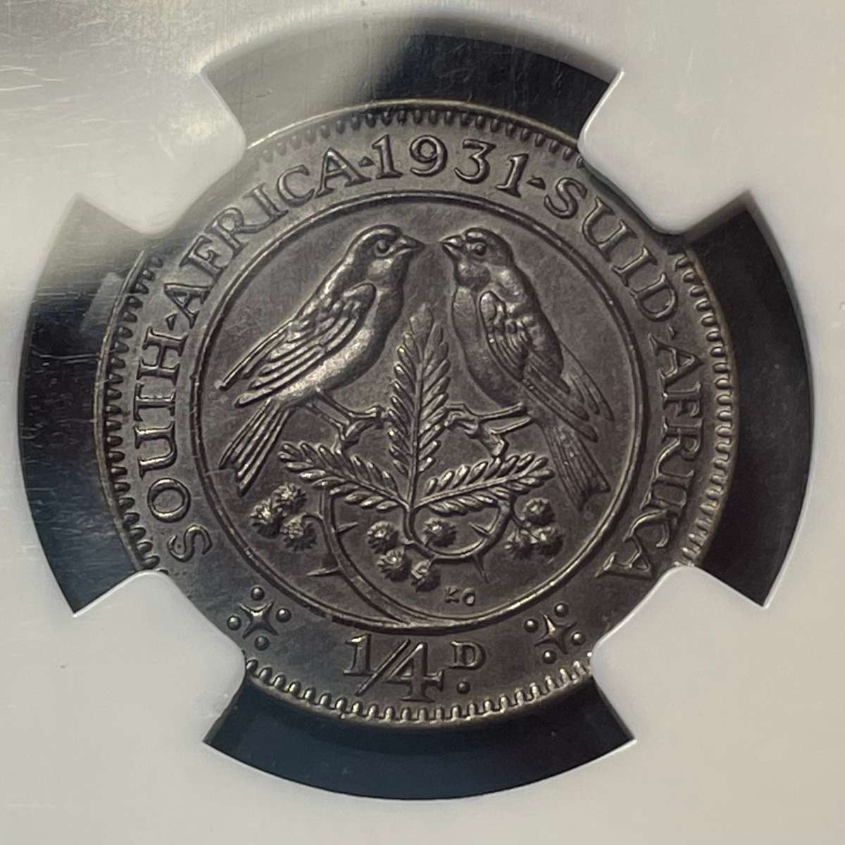 Very rare Suid variety 1931 Bronze 1/4 penny coin - NGC graded MS64 BN - Only one grade better!