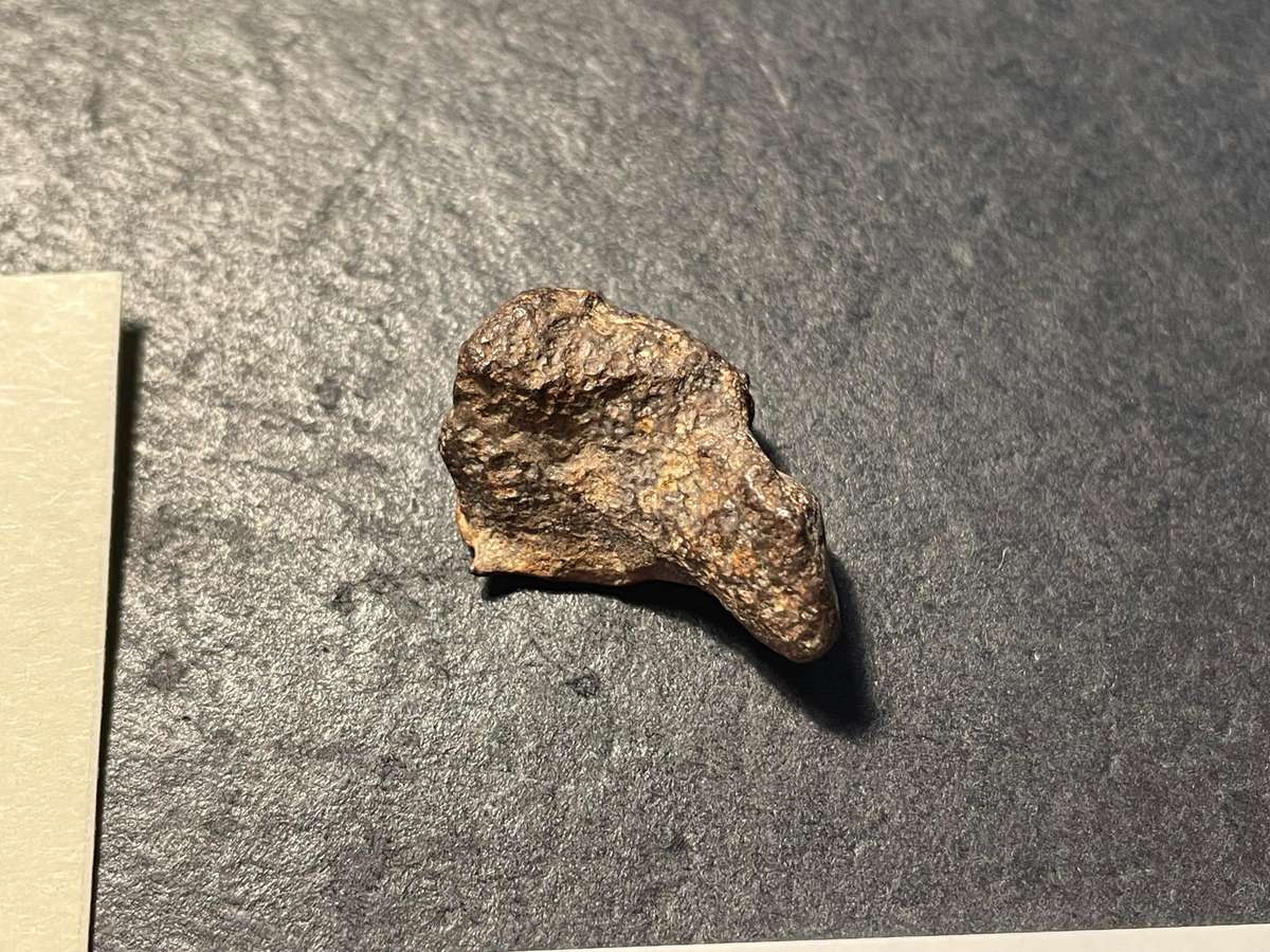 Genuine meteorite - Rare 39.15 ct piece of metal from Outer Space with Certificate of Authenticity