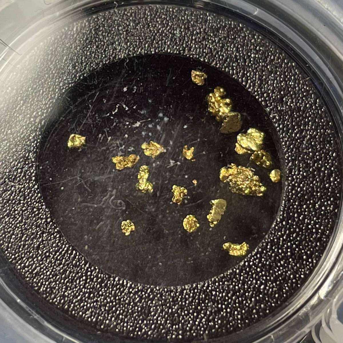 PCGS authenticated Gold flakes from the California Gold Rush - Last one available