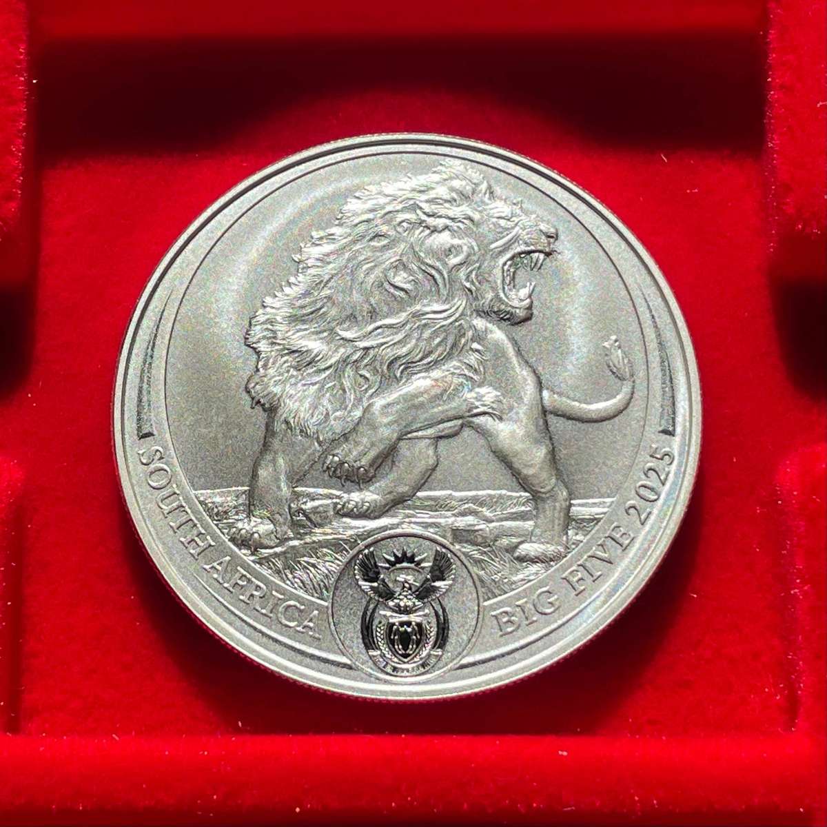 Brand new 2025 1oz fine silver Big Five lion coin - In original SA mint packaging