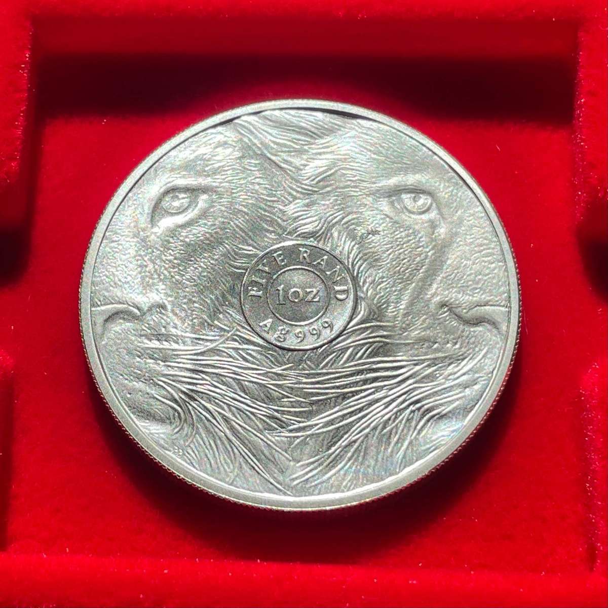 Brand new 2025 1oz fine silver Big Five lion coin - In original SA mint packaging