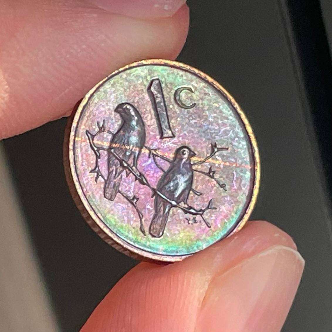 Fantastic toning - Proof 1981 bronze 1 cent coin as per photos