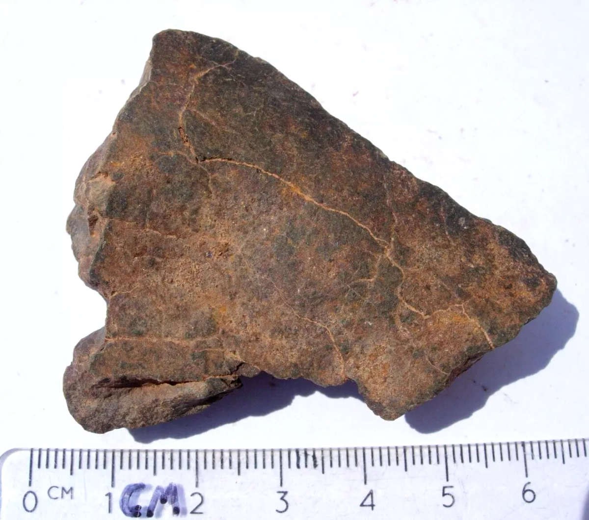 Lot of 2 meteorites with certificates of authenticity - For Bitter End only