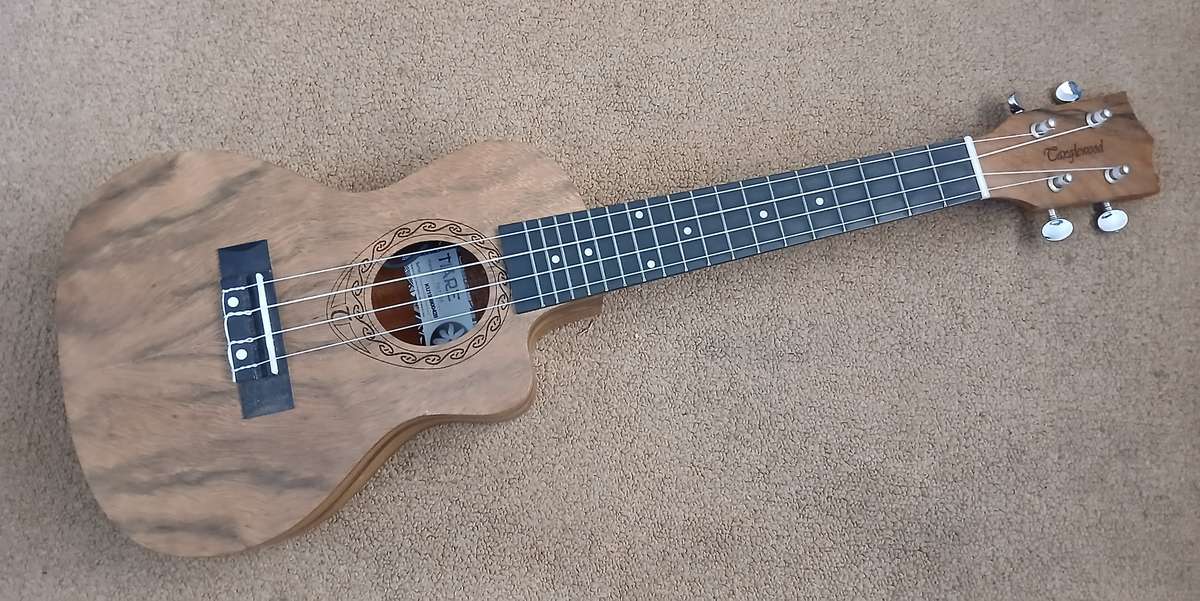 Ukelele Tanglewood TWT13E