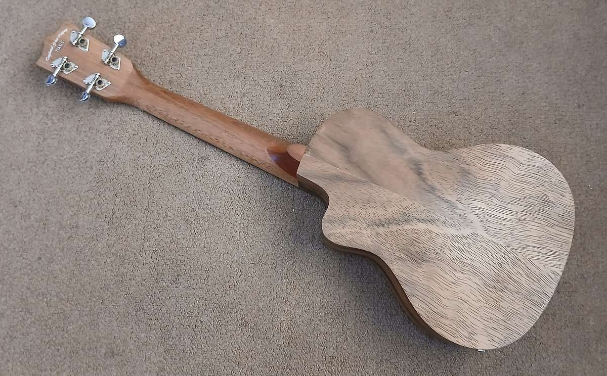 Ukelele Tanglewood TWT13E