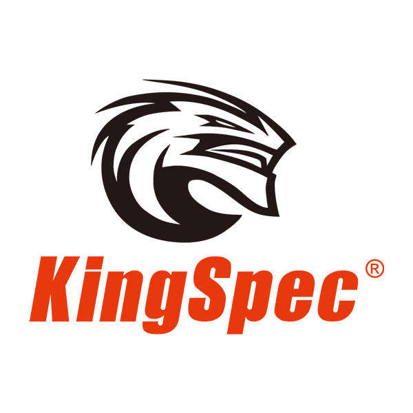 Kingspec XG7000 1TB NVMe SSD - 100% Health - Good Condition - Warranty