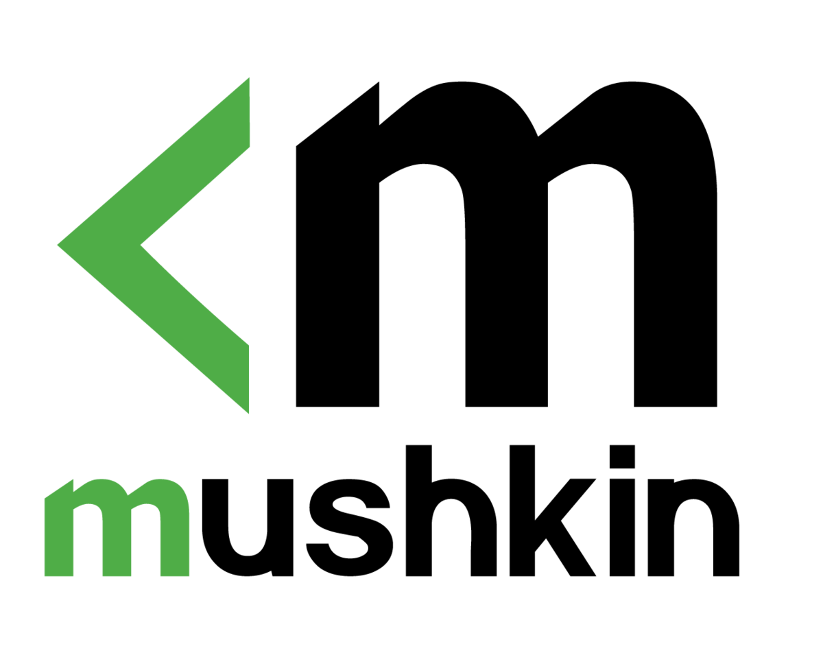 MUSHKIN HELIX NVMe SSD ** 250GB ** EXCELLENT CONDITION ** WARRANTY **