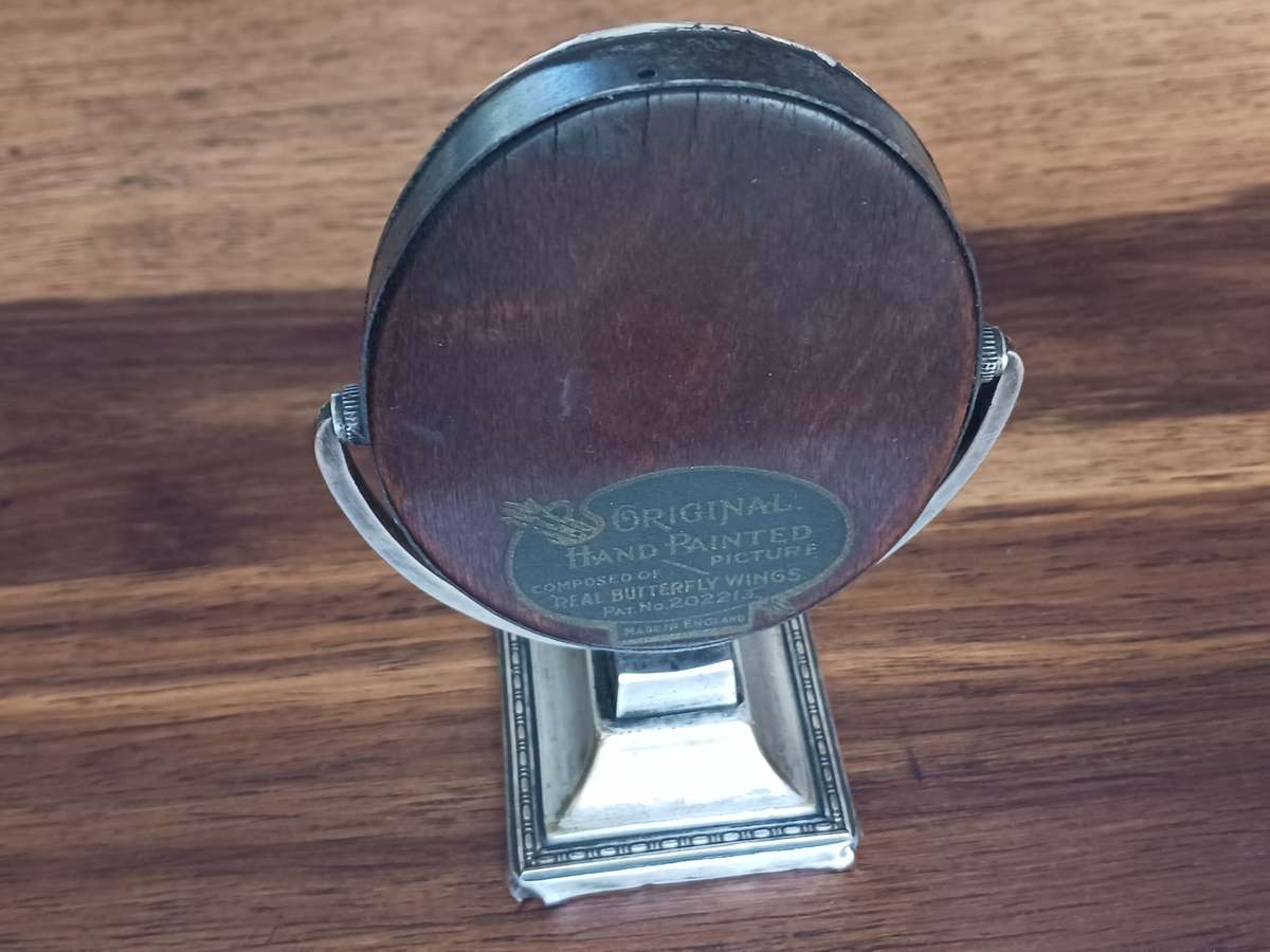 Antique Morpho Butterfly Art - Made in England