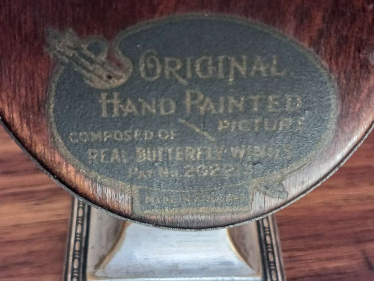 Antique Morpho Butterfly Art - Made in England