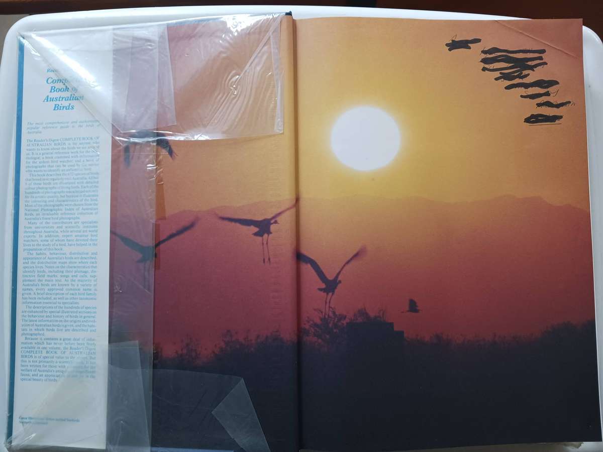 The Complete Book Of Australian Birds ( Reader's Digest ) 1993