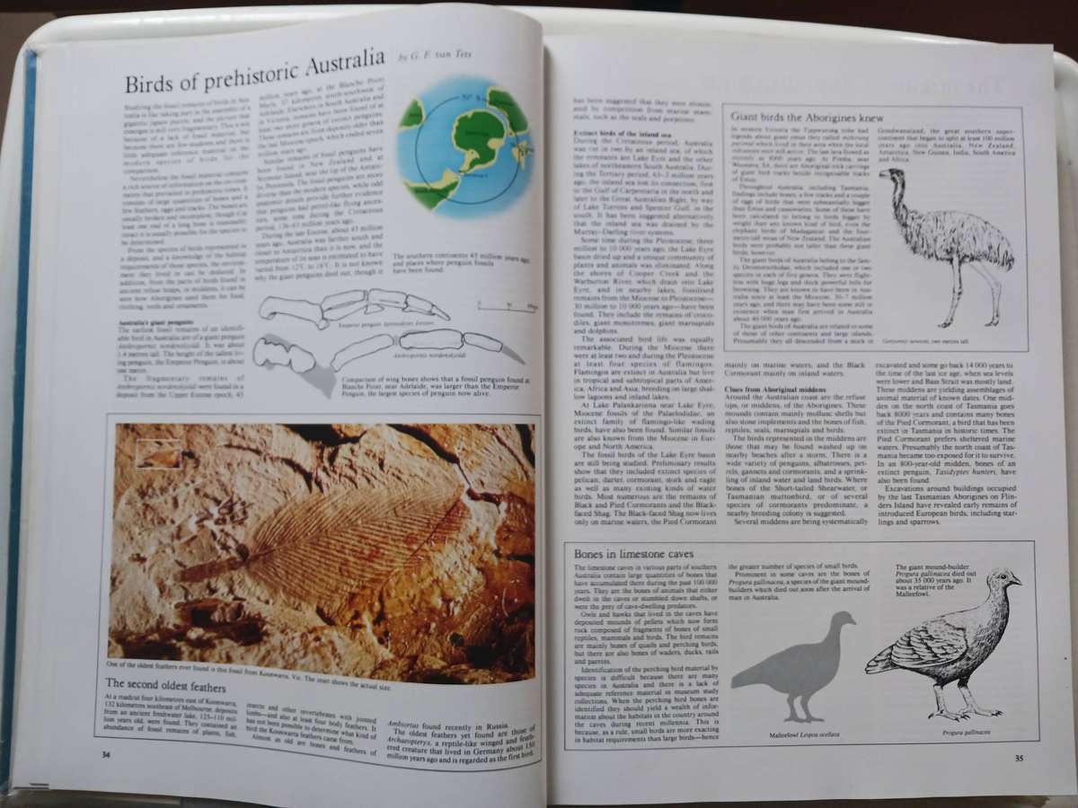 The Complete Book Of Australian Birds ( Reader's Digest ) 1993