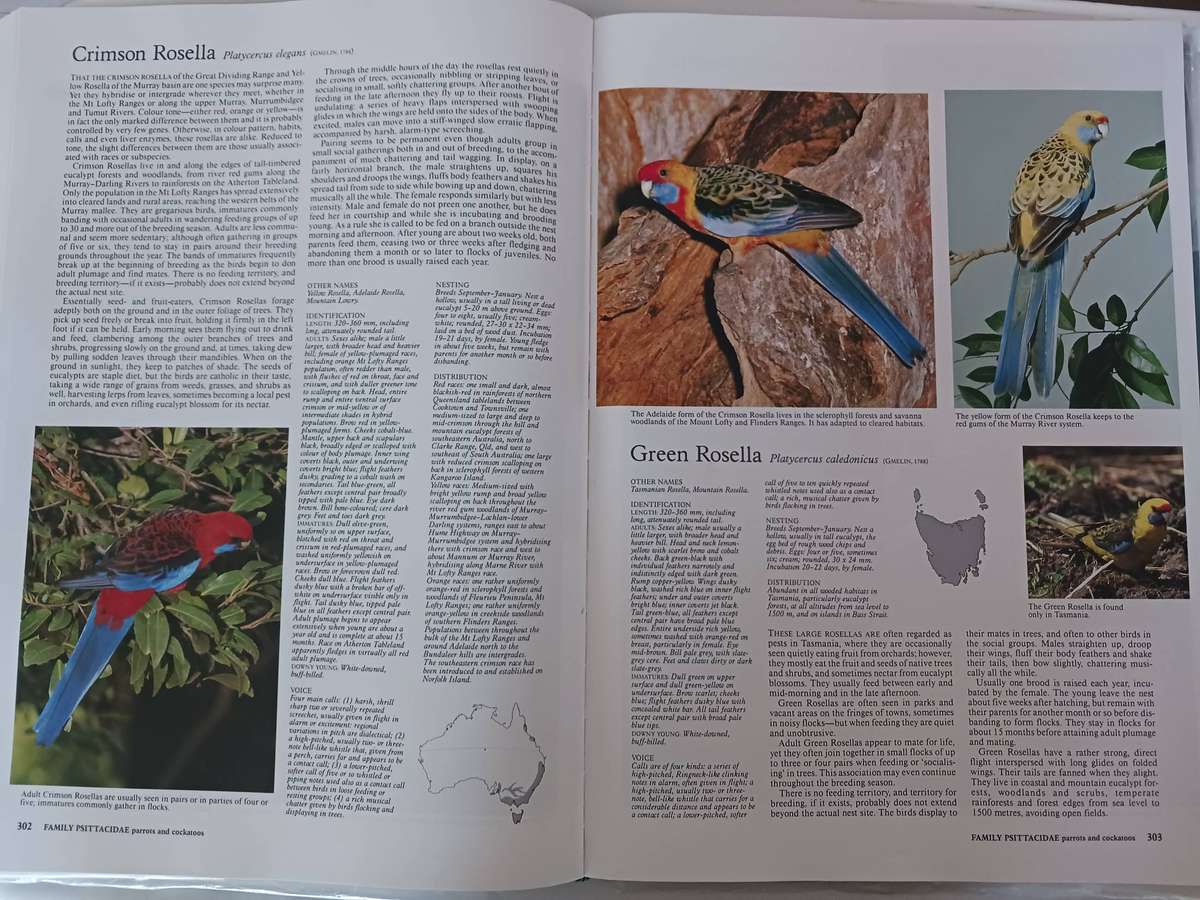 The Complete Book Of Australian Birds ( Reader's Digest ) 1993
