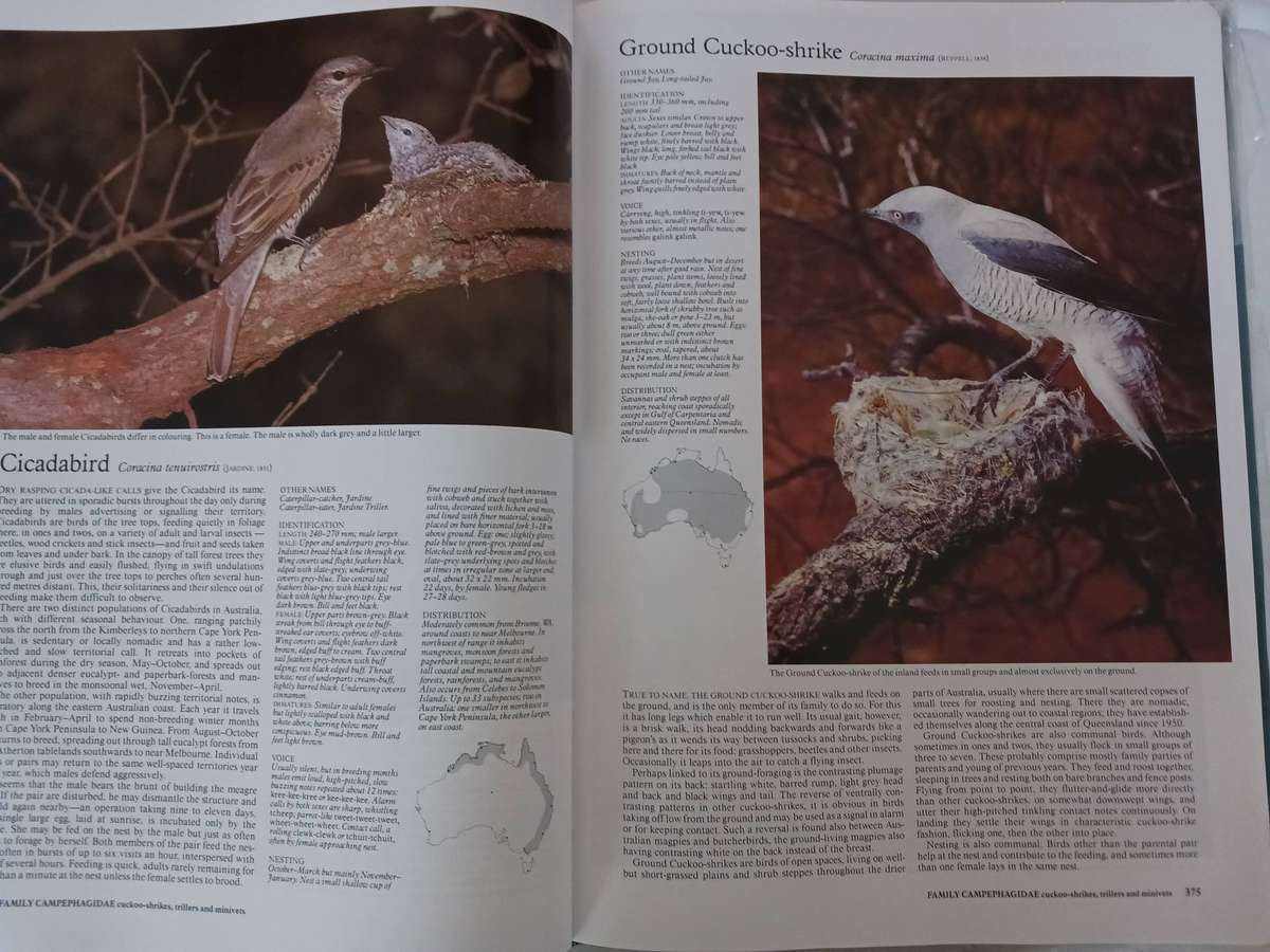 The Complete Book Of Australian Birds ( Reader's Digest ) 1993