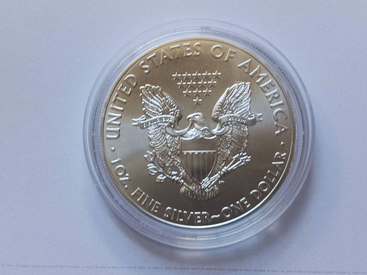 Encapsulated 2014 USA 1oz fine silver Eagle