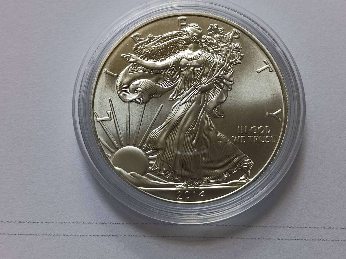Encapsulated 2014 USA 1oz fine silver Eagle