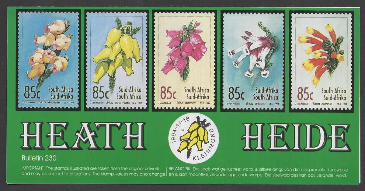 SELECTION OF RSA FDC MUST SEE