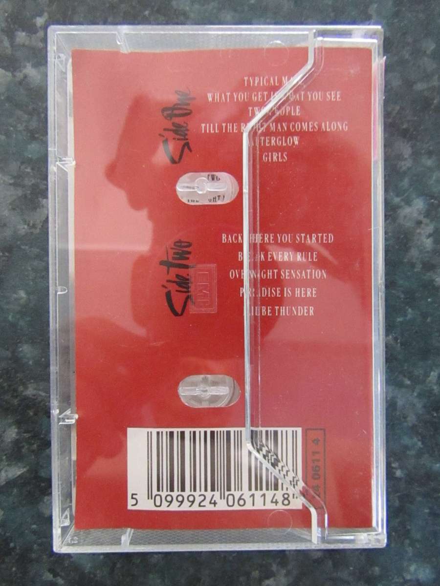 Tina Turner - Break Every Rule (Cassette)