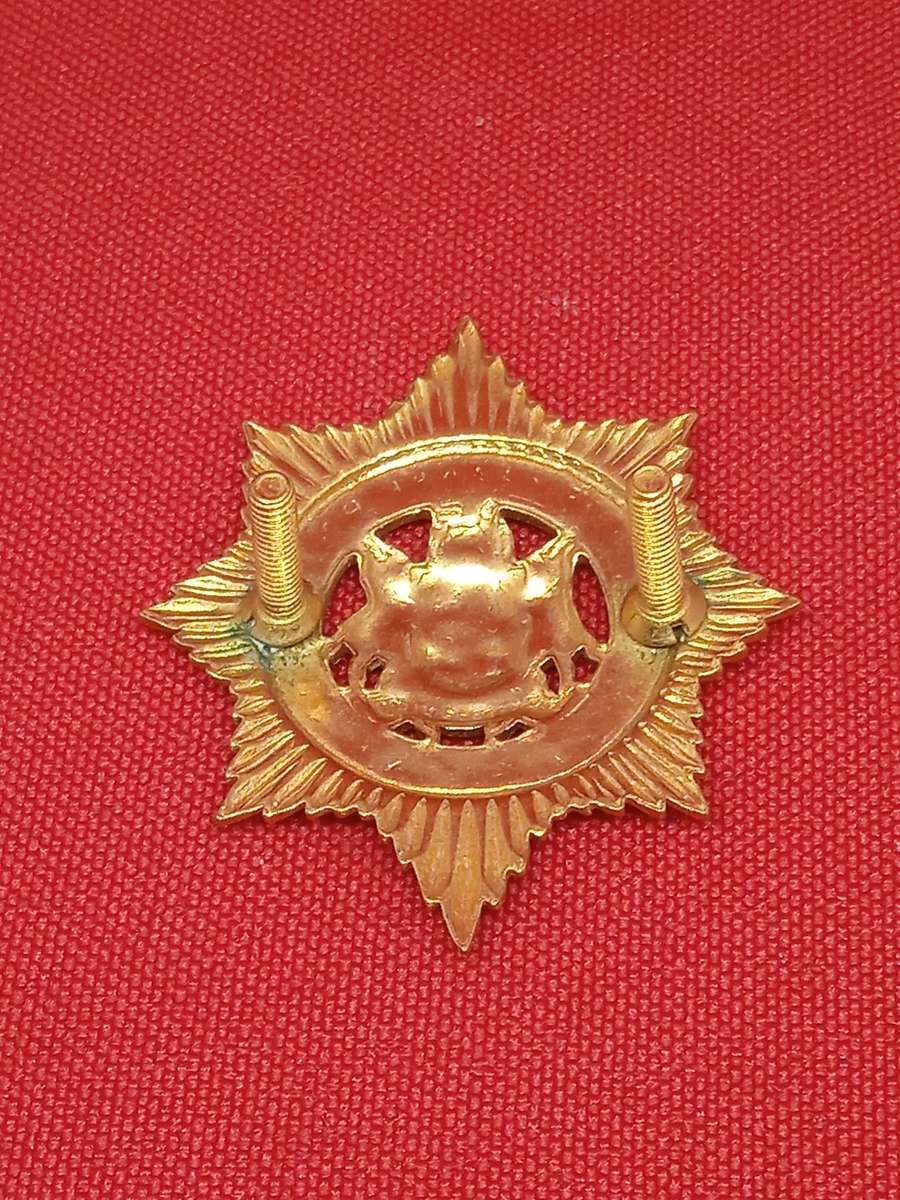 SOUTH AFRICAN POLICE BADGE