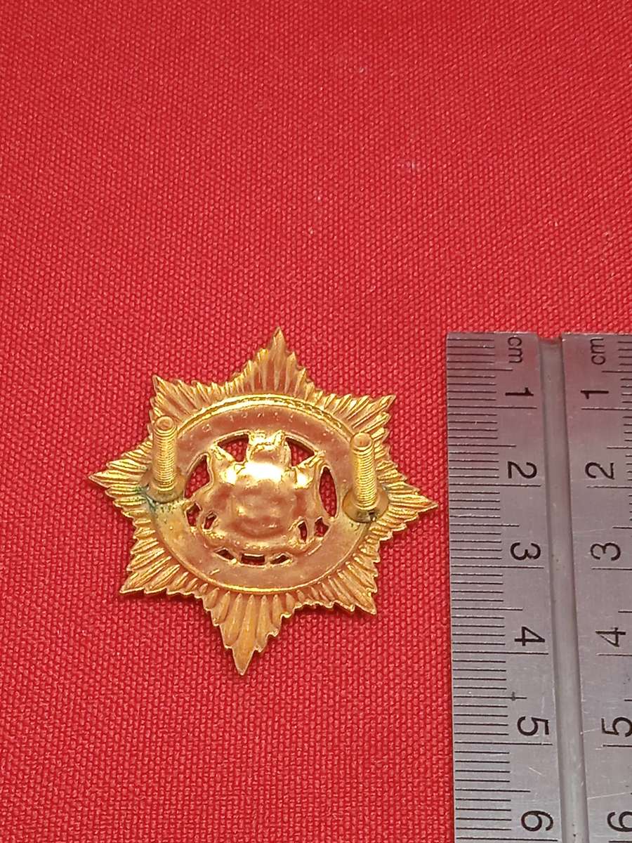 SOUTH AFRICAN POLICE BADGE