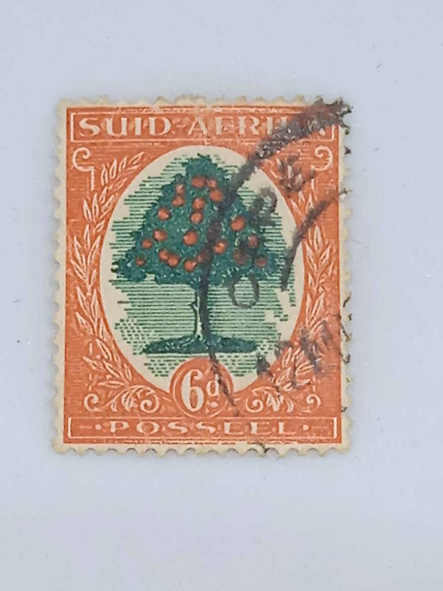 SOUTH AFRICA 6D ORANGE TREE STAMP