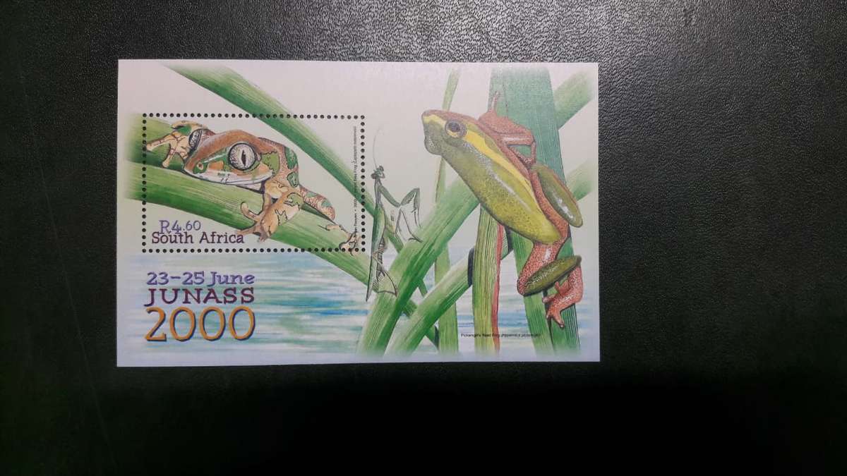 RSA 2000/06/23 Junass 2000 Miniature Sheet