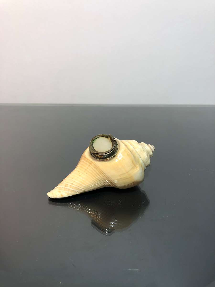 A Victorian Conch Shell Snuff Box