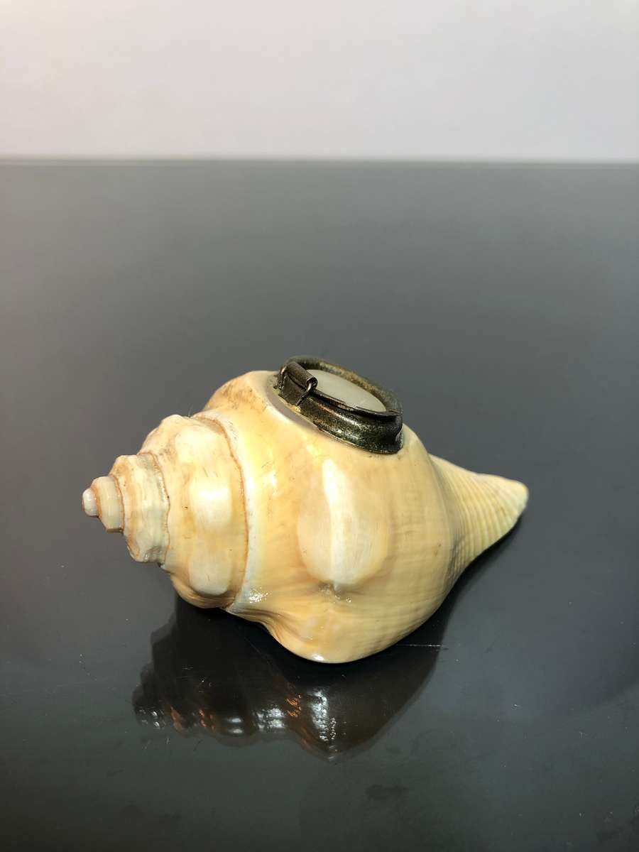 A Victorian Conch Shell Snuff Box