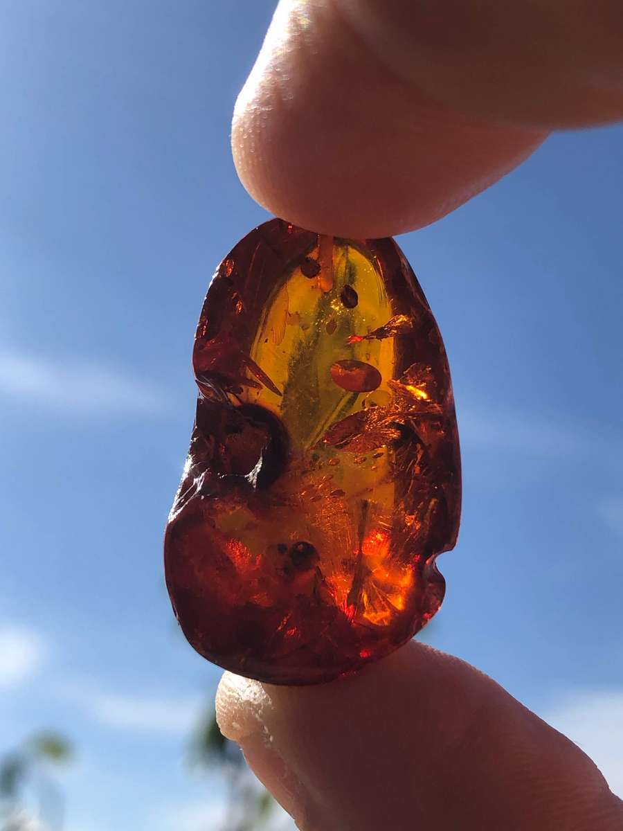 A Rare Antique Baltic Amber Pendant. ***Please Read Description ***