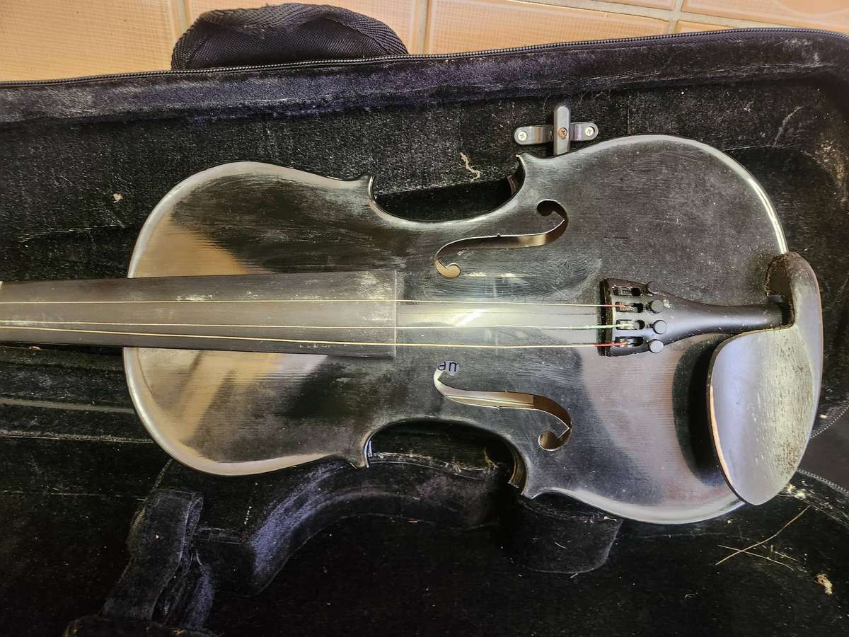 LILY FLAME VIOLIN IN CUSTOM PADDED CASE