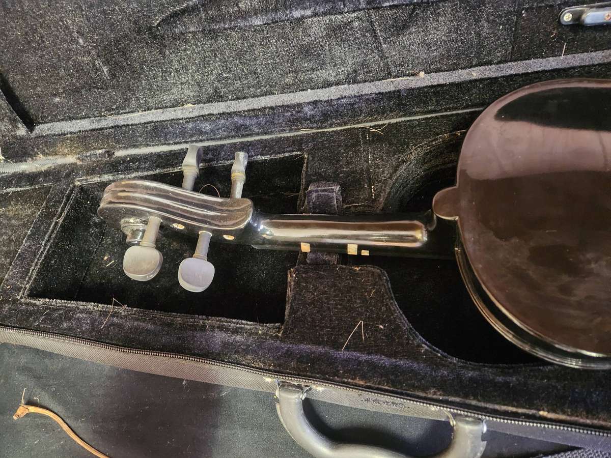 LILY FLAME VIOLIN IN CUSTOM PADDED CASE